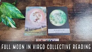 Collective Reading | Full Moon in Virgo 2022