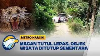 Macan Tutul di Lembang Zoo Dikabarkan Lepas [Metro Hari Ini]