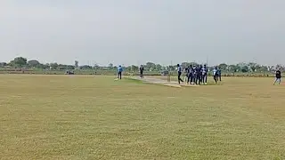 Cricket Point