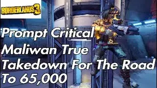 Prompt Critical Maliwan True Takedown For The Road To 65,000 - Borderlands 3 Takedowns