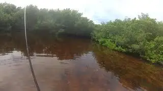 september fishing during red tide