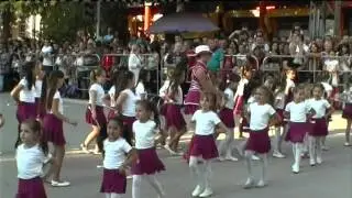 KARNEVAL CVECA Bela Crkva 2015  net