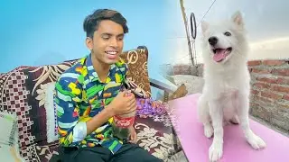 Ye Itna Naughty Kaise Hua 😰 | Combat Guruji Vlogs