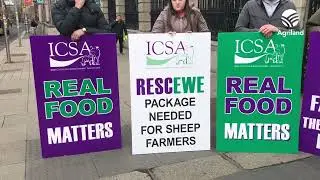 Sheep farmers demand support package at protest staged by the ICSA