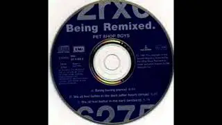 Pet Shop Boys - Being Boring (DJ Gonzalvez Bernard Re-Remix)