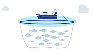 Fish Aggregation Devices: A Big Talking Point in the World of Fishing