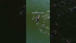 How To Draft In An Open Water Race!