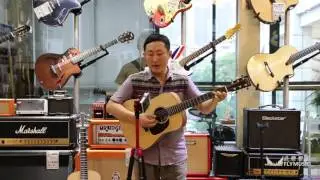 Martin DJR vs Taylor GS mini  which is better?