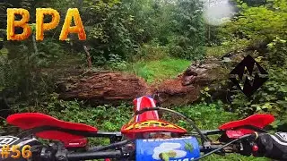 BPA #56 - Keenig Creek  | Tillamook State Forest Single Track