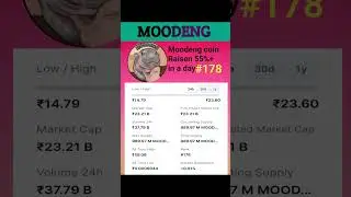 moodeng crypto coin update