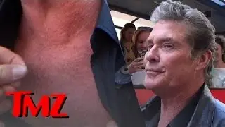 David Hasslehoff Invades The TMZ Tour | TMZ