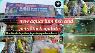 new aquarium fish and pets stock update #viral #viralvideos  (@creativelife8117 )