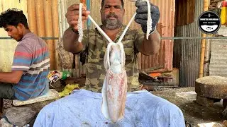 SQUID 🐙 KASIMEDU MINNAL RAJA AMAZING CUTTING SKILLS VIDEO 🔪 #kasimedufishcutting