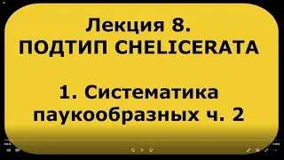 Зоология беспозвоночных. Лекция 8. Подтип  CHELICERATA. Систематика паукообразных ч. 2