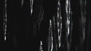 Heinz Rielger - Burnt Notes