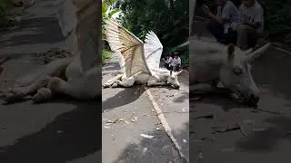 PEGASUS UNICORN ❗❓ #shortsfeed #ytshorts #shorts #ai #pegasus #unicorn #horse #fake #viral