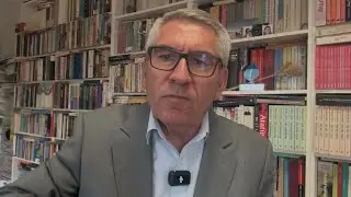 Ayçiçeği