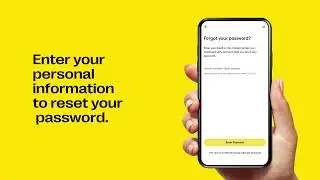 How to reset your password on the Western Union app | Qatar