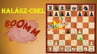 A veszedelmes Hal&aacute;sz-csel (1.e4 e5 2.d4 exd4 3.f4)