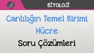 Canlılığın Temel Birimi Hücre - Soru Çözümleri