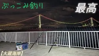 【365日釣り生活】150、151日目1月30・31日は「大蔵海岸・南ベランダ」の「ぶっこみ釣り」が最高だった日❗❗