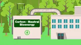 Paper and Wood Products and Carbon Neutrality