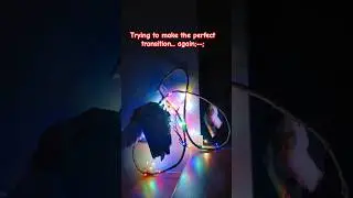 the 