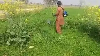 Hyundai brush cutter ( IBV 2 )