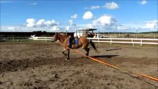 vuonis video