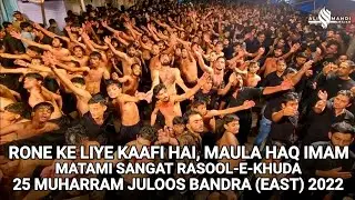RONE KE LIYE KAFI HAI SAJJAD | 25 Muharram Juloos Bandra East 2022/1444 | Juloos e Sayyad e Sajjad