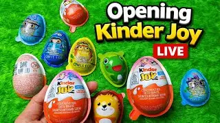 Opening Joy Eggs | Kinder Joy | Cute Suprise Toy Reveal 😍 | ASMR Video