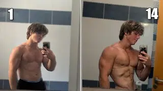 I Was on 2000 Calories Deficit For 14 Days