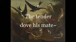 Hayden- On Mighty Pens, from the creation- arrangement for 4 flutes and voice