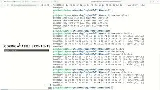 (2) The file system (COP-3402 Fall 2024)
