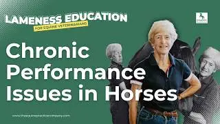 Chronic Performance Issues in Horses: Identifying Hidden Lameness