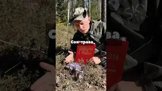 Этот цветок ЯДОВИТ ☠️🧪🤯?!