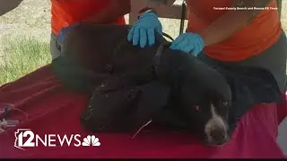 Lost Arizona hiker found dead; his dog stayed by his side till the end