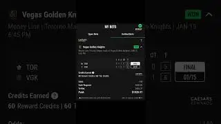 $600 bet on Toronto Maple Leafs vs Vegas Golden Knights - NHL Season Match 1/15/2026