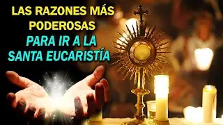 🚨Las RAZONES más PODEROSAS por las que DEBO IR a la EUCARISTÍA