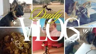 Daily Vlog with me❤️😹 || #vlog  #dailyvlog #dailylifestyle #villagelife #petlover #germanshepherd