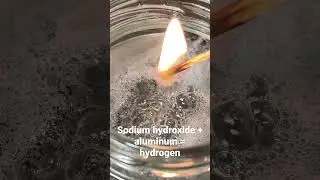 Hydrogen release. Removing aluminum oxide with sodium hydroxide.