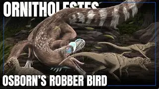 Ornitholestes: Osborn's Robber Bird