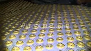WENVA hard and soft biscuit production line/ hard and soft biscuit making machine
