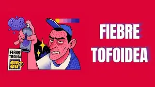 Todo sobre FIEBRE TIFOIDEA 🦠