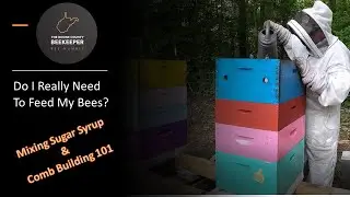 Feeding Bees and Building Comb