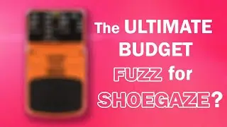 Hidden Gem Fuzz Pedal Everyone's Missing Out On!