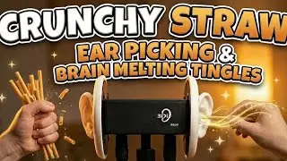 [ASMR] 10 Mins of Satisfying Wheat Straws 🌾 CRUSHING & Deep Ear Picking (No Talking)