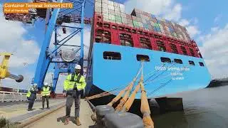 igus - e-chain real - Space-Saving Shore Power at Container Terminal Tollerort (CTT), Hamburg