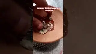 garlic treatment #beautiful #fish #aquarium#petshub#babifreitas #petcare#trending#viral#love #shorts