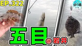 EP.322【千葉内房多種目釣り】南房総岩井のヘッドランドで魚影の濃さを痛感した